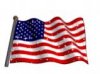 sparkling-usa-flag.jpg