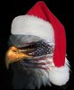 Eagle_Santa_Hat.jpg