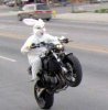 easter-bunny-motorcycle.jpg
