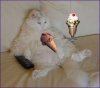 kitty-ice-cream.jpg