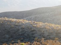 DSCN0310.JPG DSCN0310.JPG