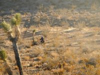 DSCN0309.JPG DSCN0309.JPG