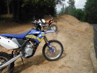 DSCF0141.JPG DSCF0141.JPG