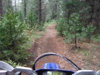 DSCF0145.JPG DSCF0145.JPG