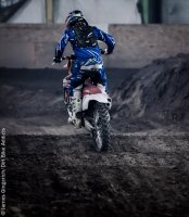 DSC_1575.jpg DSC_1575.jpg