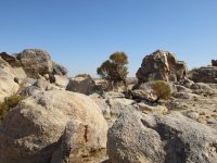 IMG_0235.JPG IMG_0235.JPG