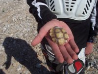 AndersonMemorialDay09027.jpg AndersonMemorialDay09027.jpg