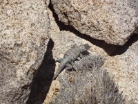 CC Memorial Day 2012 015.JPG CC Memorial Day 2012 015.JPG