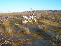 FootballFieldApril2010 015.jpg