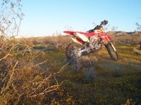 FootballFieldApril2010 016.jpg