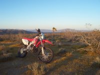 FootballFieldApril2010 018.jpg