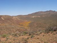 FootballFieldApril2010 052.jpg