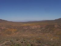 FootballFieldApril2010 058.jpg