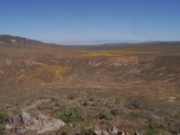 FootballFieldApril2010 059.jpg