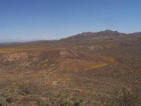 FootballFieldApril2010 060.jpg