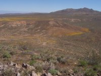 FootballFieldApril2010 061.jpg