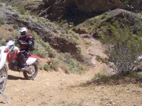 FootballFieldApril2010 062.jpg