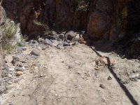 FootballFieldApril2010 067.jpg