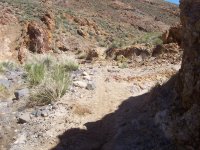 FootballFieldApril2010 070.jpg