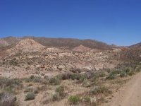 FootballFieldApril2010 071.jpg