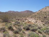 FootballFieldApril2010 072.jpg