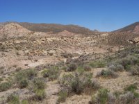 FootballFieldApril2010 073.jpg