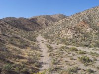 FootballFieldApril2010 074.jpg