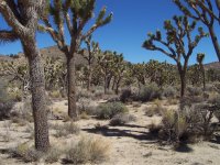 First TT Ride 024.jpg