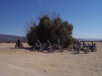 First TT Ride 051.jpg