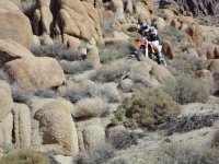 Big Dans Return if Timo 2 012.JPG