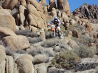 Big Dans Return if Timo 2 013.JPG