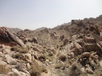 Big Dans Return if Timo 2 017.JPG