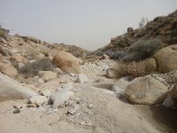 Big Dans Return if Timo 2 024.JPG