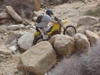 Big Dans Return if Timo 2 025.JPG