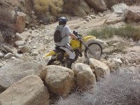 Big Dans Return if Timo 2 026.JPG