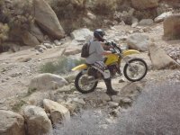 Big Dans Return if Timo 2 027.JPG