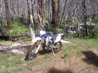 Kennedy Meadows 6-09 022.jpg