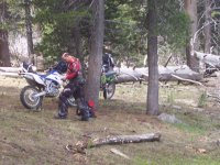 Kennedy Meadows 6-09 010.jpg