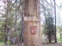 Kennedy Meadows 6-09 013.jpg