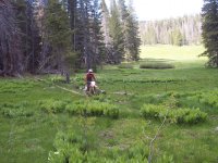 Kennedy Meadows 6-09 018.jpg