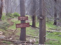 Kennedy Meadows 6-09 020.jpg