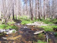 Kennedy Meadows 6-09 021.jpg