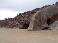 New Year Cuddeback & Johnson Valley 009.jpg