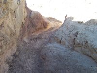 Ocotillo Wells-President's Day '08 005.jpg