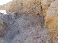 Ocotillo Wells-President's Day '08 007.jpg