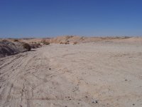 Ocotillo Wells-President's Day '08 015.jpg