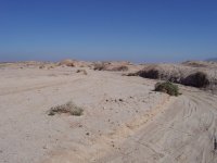 Ocotillo Wells-President's Day '08 014.jpg