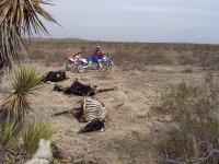 Stoddard Valley B'day '08 008.jpg