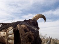 Stoddard Valley B'day '08 010.jpg