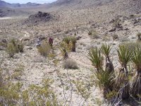 Stoddard Valley B'day '08 015.jpg